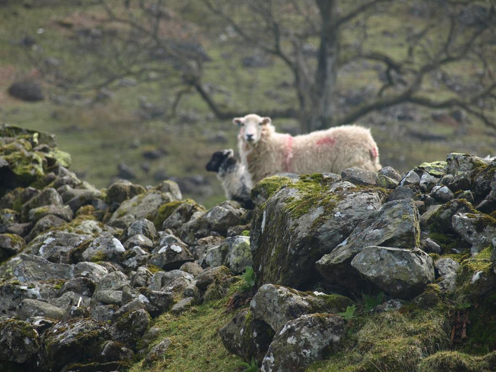 Thirlmere Barn-Gill House B&B 외부 사진