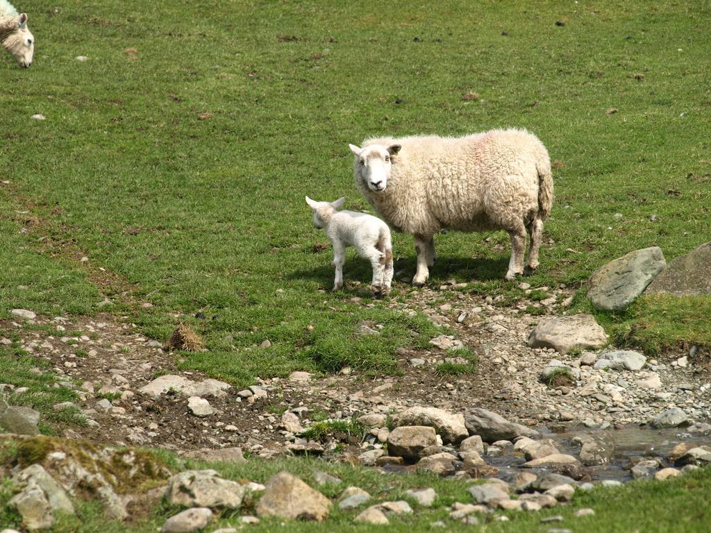 Thirlmere Barn-Gill House B&B 외부 사진