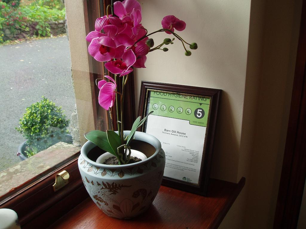 Thirlmere Barn-Gill House B&B 객실 사진